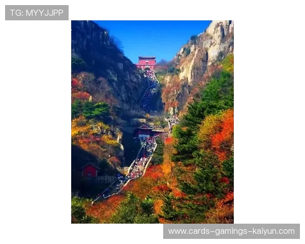 山东泰山侧翼的连续推进令人十分头疼 山东泰山侧翼的连续推进令人十分头疼